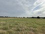 feedlot pasture