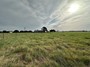 feedlot pasture