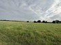 truck field