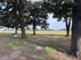 upper cheek pasture