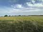 upper cheek pasture