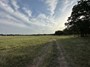 upper cheek pasture